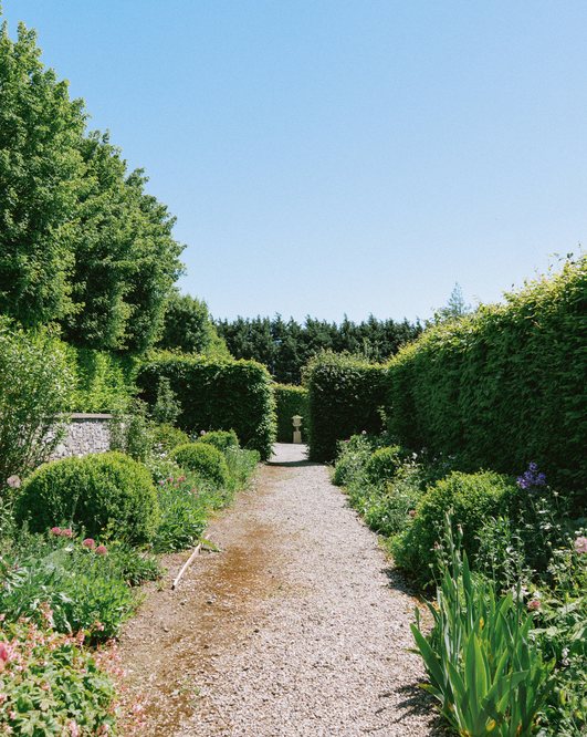 Gravel path between tall hedges in the walled garden